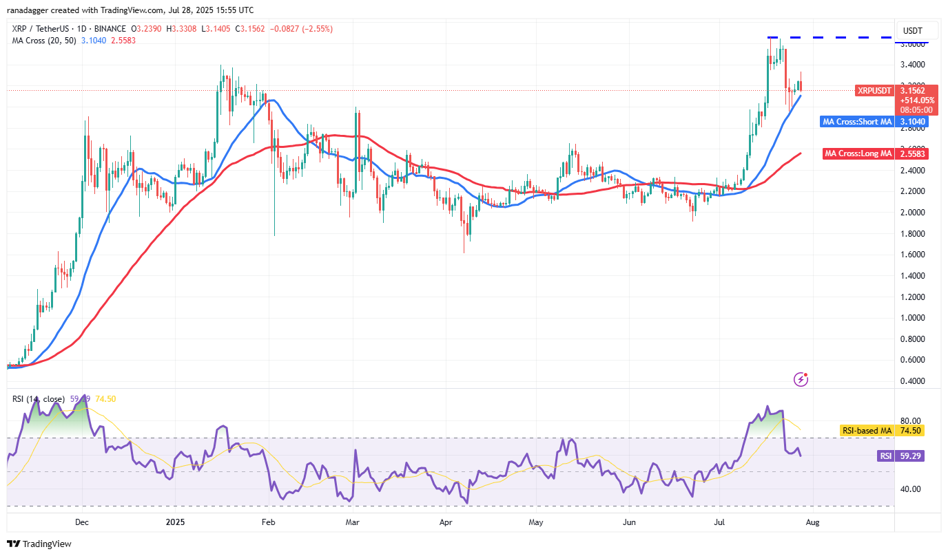 Dựa đoán giá XRP .webp