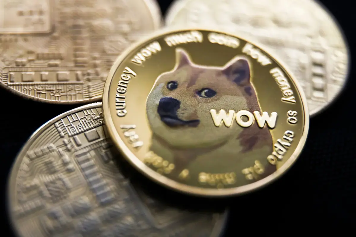 doge-elon-musk.webp