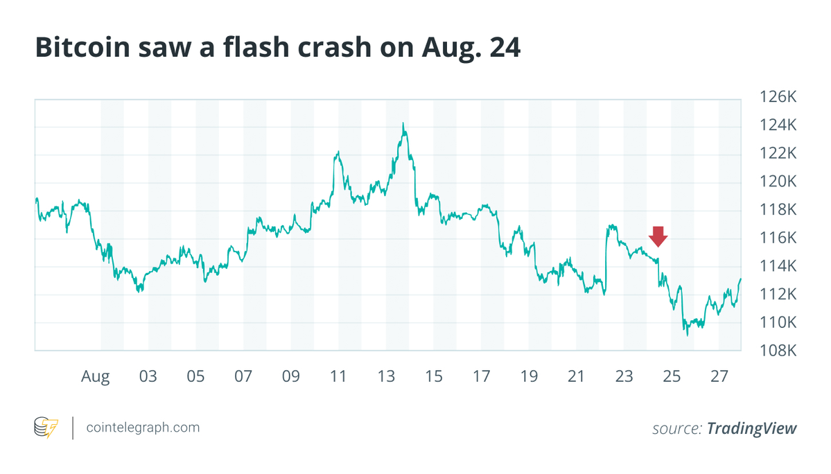bitcoin saw a flash crash.jpeg