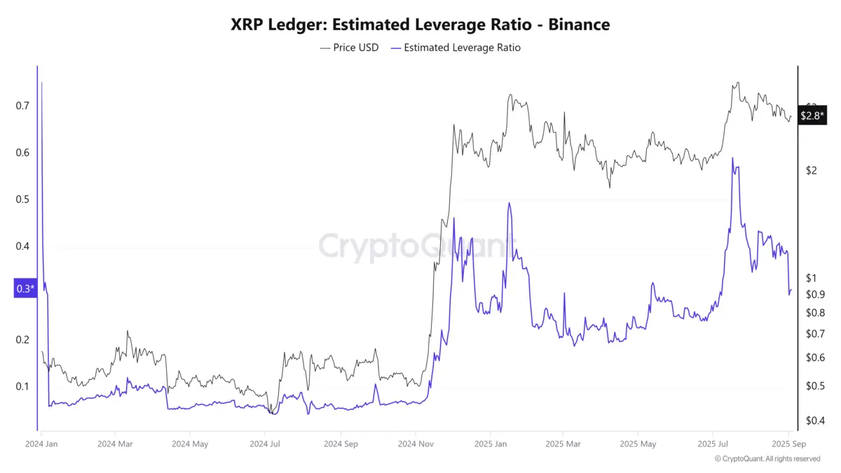 Tỉ lệ đòn bẩy XRP .webp