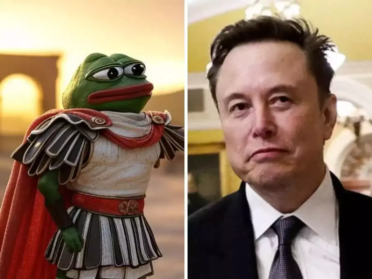 Elon-musk-memecoin.webp