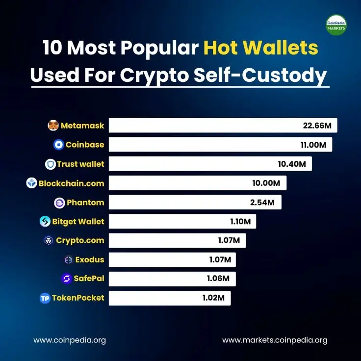Top 10 ví.webp
