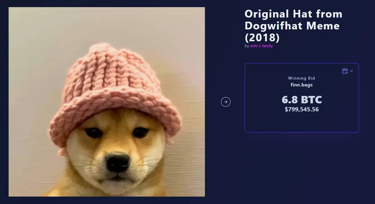 Ord City- Dogwifhat