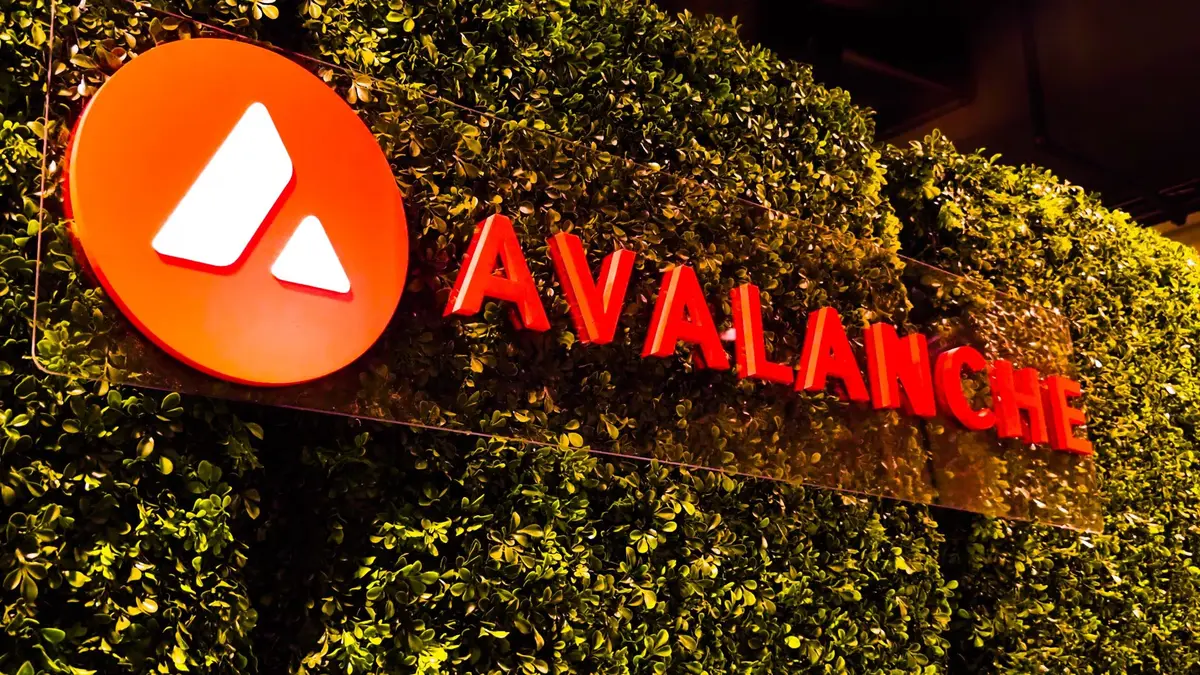 Avalanche-Foundation-huy-dong-1-ty-USD